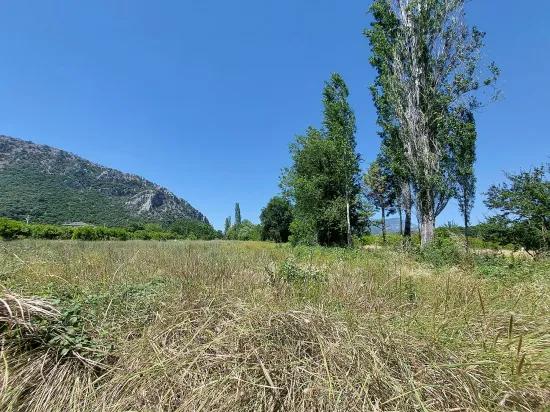 Muğla Marmarlı’da 5 800 M2 İmar Planı İçinde Yatırıma Uygun Satılık Arsa