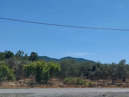 Ortaca Gökbel De 500 M2 Müstakil Tapulu Arazi Satılık