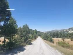 Çameli Cumaalanı Mah. Satılık Arazi - Tarla İmar Durumlu - 6.230 m²